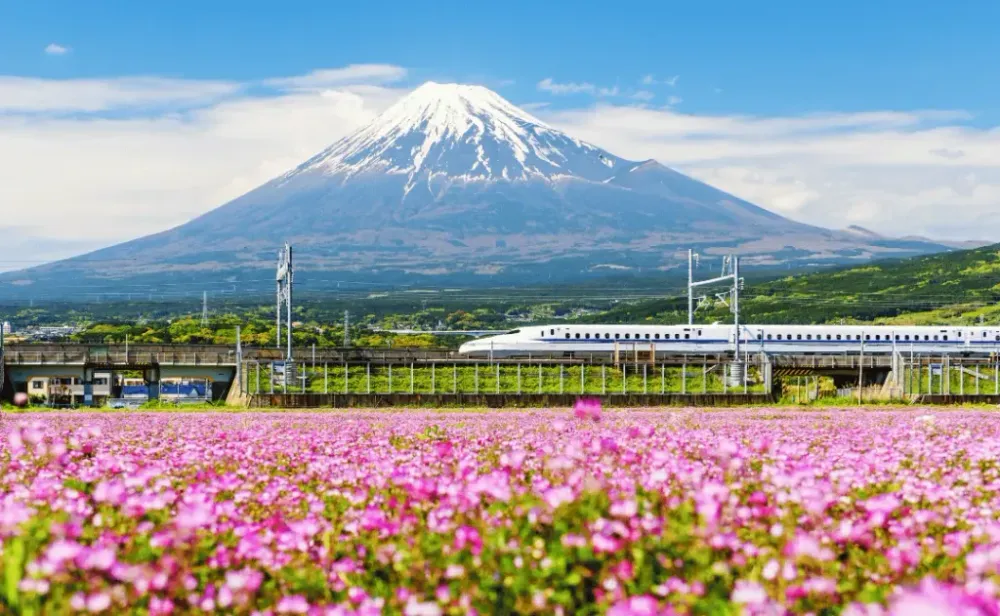 Shinkanzen run pass Mt. Fuji